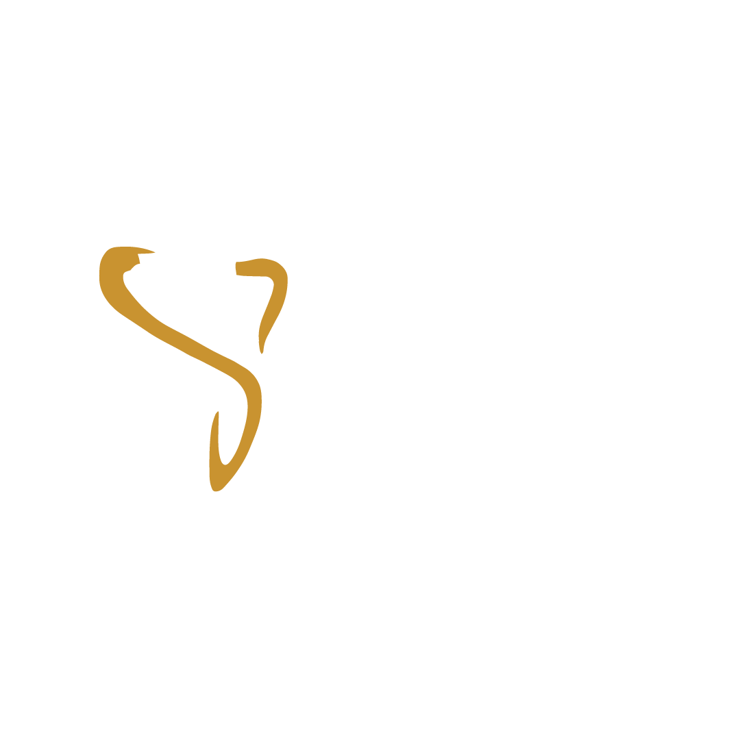 Vital Dental